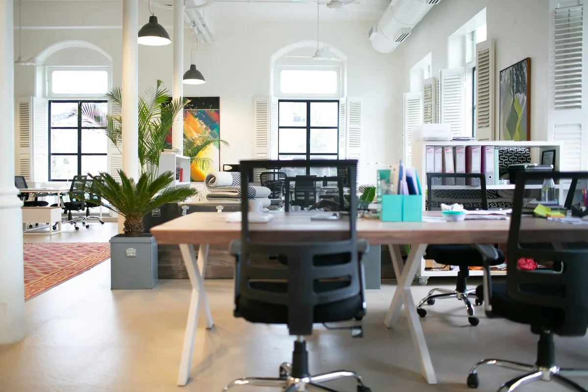 Helles Altbaubüro mit Arbeitsplätzen und Pflanzen